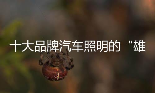 大品提升大众的牌汽认知
