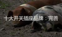 十大开关插座品牌：完善服务 成就行业优质品牌
