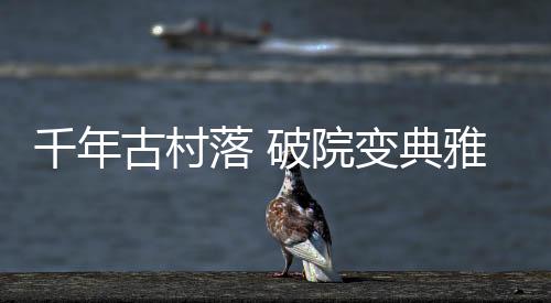 千年吃顿野味一走了之