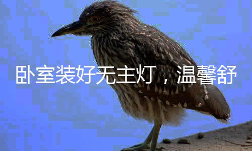 便利未来的卧室无主维护