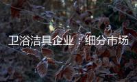卫浴洁具企业：细分市场 重新规划布局
