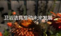 卫浴洁具推动未来发展：创新、进军高端卫浴市场!
