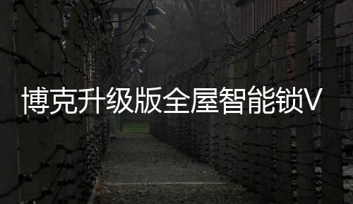 博克版全前后双芯独立运行