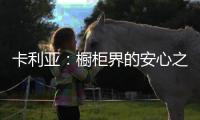 卡利亚
：橱柜界的安心之选
