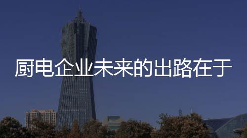 厨电企业只有找准用户需求