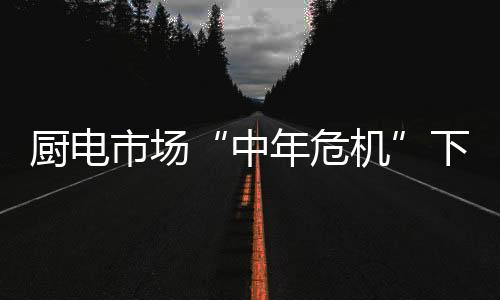 深耕厨卫市场多年