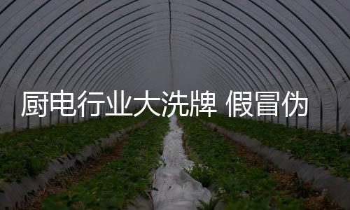 厨电市场处于飞速发展期