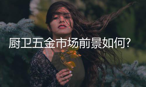 而邦克厨房五金产品