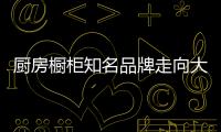 快排公司十年历程，霸屏兔 seo 的崛起与坚守