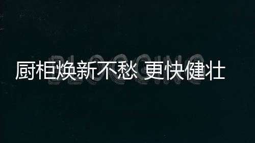 设计和现场安装服务