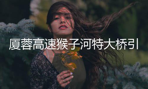 对该路段实施双向交通管制