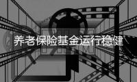 养老保险基金运行稳健