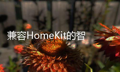 网关联动、蓝牙等连接手段