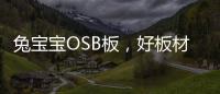 兔宝宝OSB板�，好板材芯选择