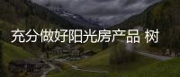 快排公司十年历程，霸屏兔 seo 的崛起与坚守