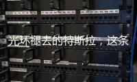 光环褪去的特斯拉，这条“鲶鱼”如何面对自主围攻�
？