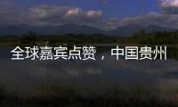 全球嘉宾点赞
	，中国贵州正点绿成“金”