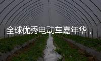 快排公司十年历程，霸屏兔 seo 的崛起与坚守