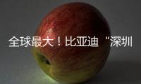 全球最大！比亚迪“深圳号”交付启航
