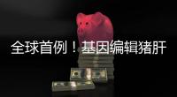 全球首例	
！基因编辑猪肝脏 被移植到人体