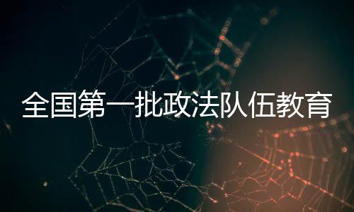 批害办公室主任陈一新表示