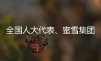 全国人大代表
、蜜雪集团赵红果：建议新式茶饮建立国家标准