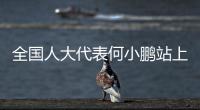 全国人大代表何小鹏站上“代表通道”，讲述科创改变生活