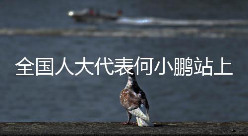 全国在具身智能机器人领域
