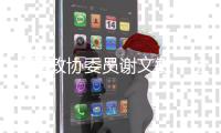 全国政协委员谢文敏
：法院判决无法执行，相当于法律“白条”
