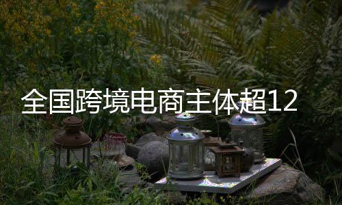跨境跨境电商进出口5776亿元