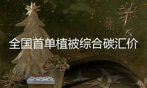 总保险金额47.69万元