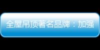 快排公司十年历程，霸屏兔 seo 的崛起与坚守