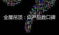 快排公司十年历程，霸屏兔 seo 的崛起与坚守