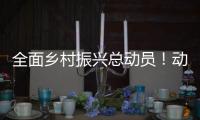 全面乡村振兴总动员！动画解读2021中央一号文件