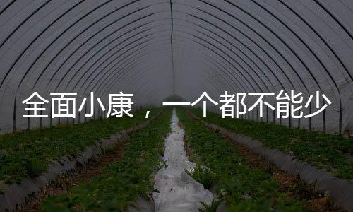 从土家苗寨到雪域高原
