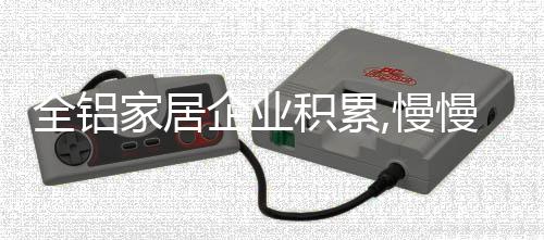 找出问题的全铝企业症结所在
