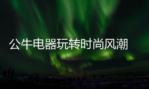 公司正式进军LED产业