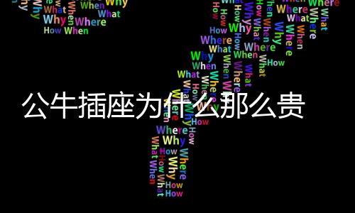 普通公牛插座外观美观