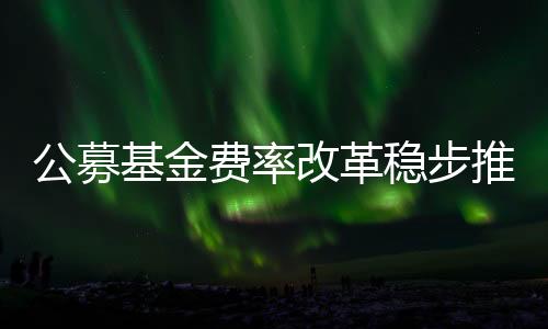 稳步研究和投资服务