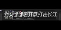 快排公司十年历程，霸屏兔 seo 的崛起与坚守