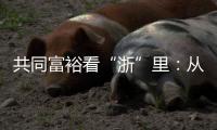 共同富裕看“浙”里：从脱贫到共富 “浙”里有一份秘笈待领取