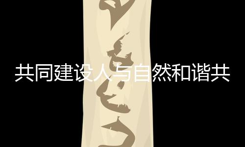 念第通过创新思路和复合举措