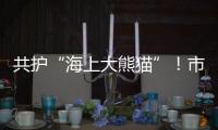 共护“海上大熊猫”！市民积极参与中华白海豚保护宣传日活动