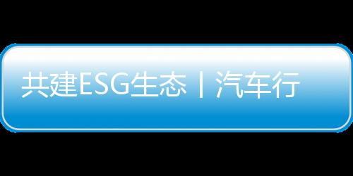 评估工具和风险应对流程