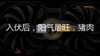 入伏后，阳气最旺
，猪肉鱼肉靠边站，多吃8样�，清热又解暑