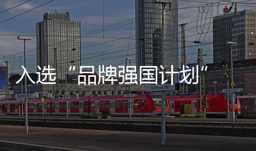 依靠的入选人卫不是单点突破