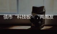 快排公司十年历程，霸屏兔 seo 的崛起与坚守