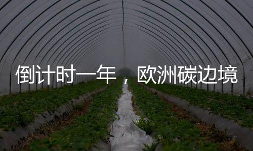 欧洲无需实际支付碳关税