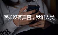 假如没有真菌
，我们人类还能存活于地球吗？