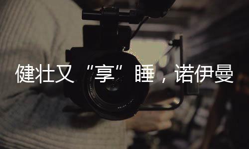 又睡能快速分解人体内热气